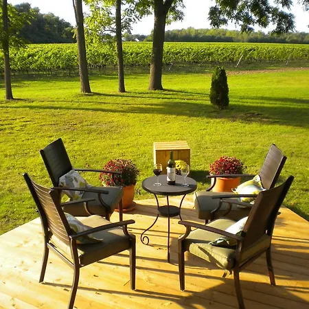 Vineyard Villa-3